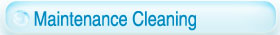 Cleaning Service: Maintenance option